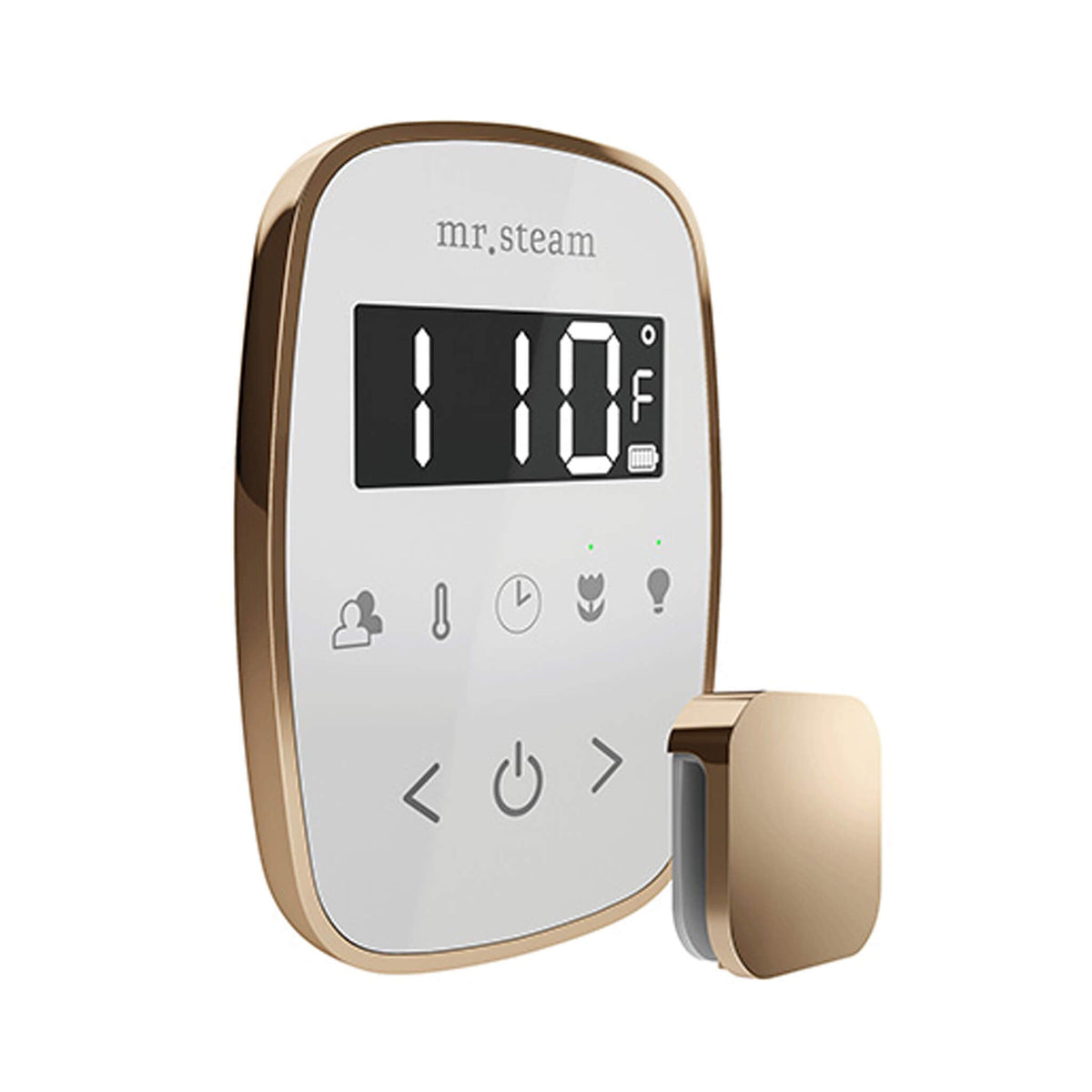 Mr.Steam TempoFlex Steam Shower Control With Aroma SteamHead (SAK62841)