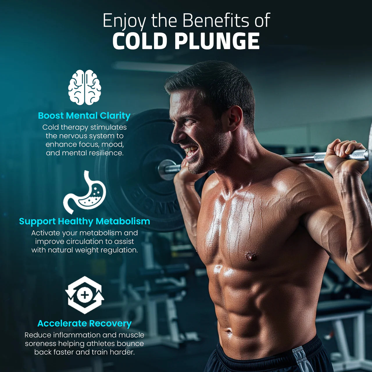 K-PLUNGE Iroquois All-in-One Cold Plunge and Hot Tub with Built-in Chiller