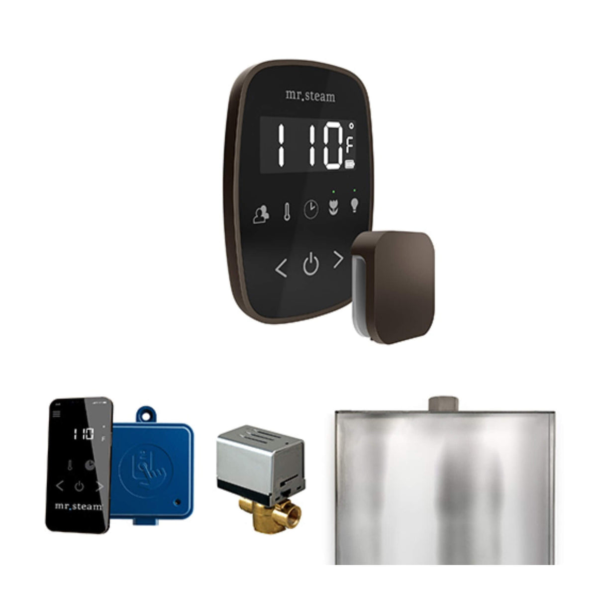 Mr.Steam ButlerFlex Steam Shower Control Package W/ TempoFlex Control (SAK38129)