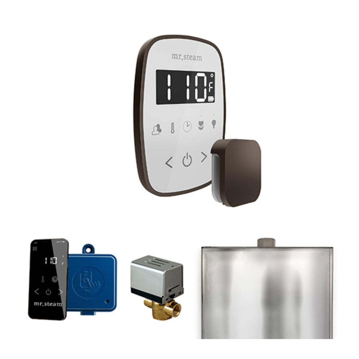 Mr.Steam ButlerFlex Steam Shower Control Package W/ TempoFlex Control (SAK38129)