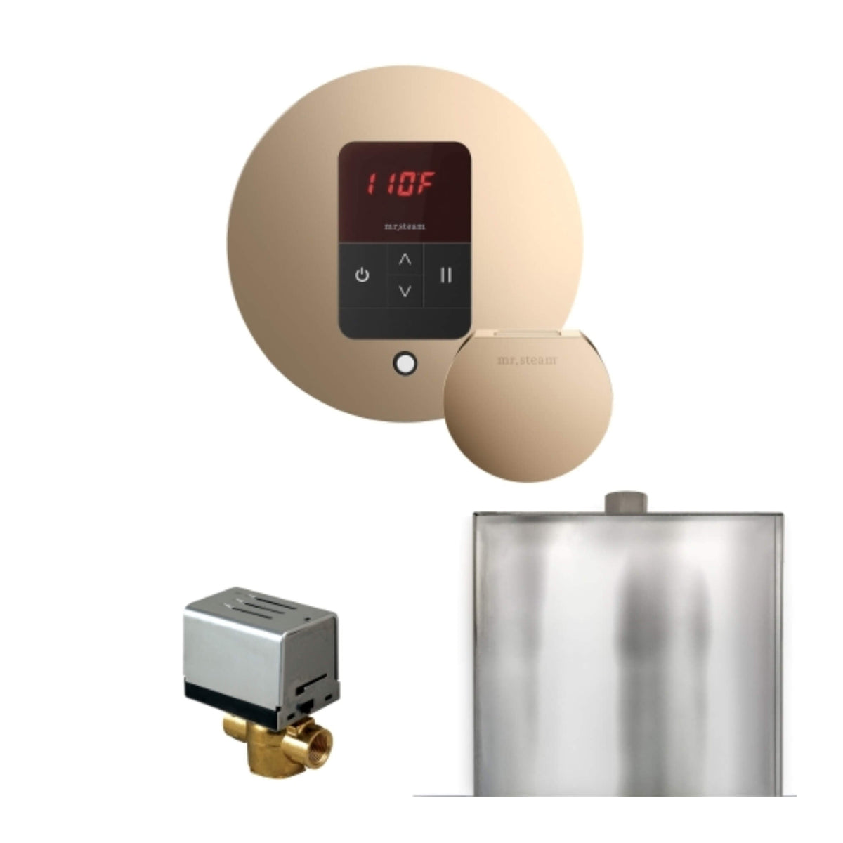 Mr.Steam Basic Butler Steam Shower Control Package W/ iTempo Control & Aroma Designer Finish SteamHead (SAK63721)
