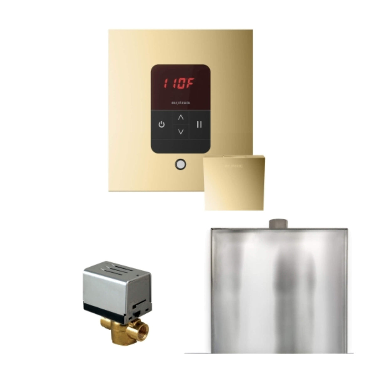 Mr.Steam Basic Butler Steam Shower Control Package W/ iTempo Control & Aroma Designer Finish SteamHead (SAK63721)