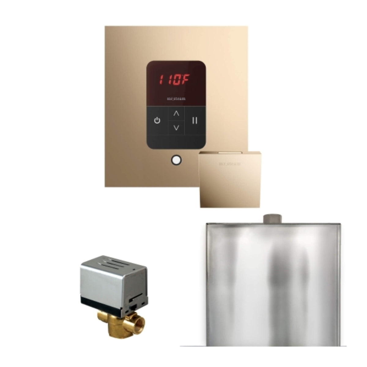 Mr.Steam Basic Butler Steam Shower Control Package W/ iTempo Control & Aroma Designer Finish SteamHead (SAK63721)