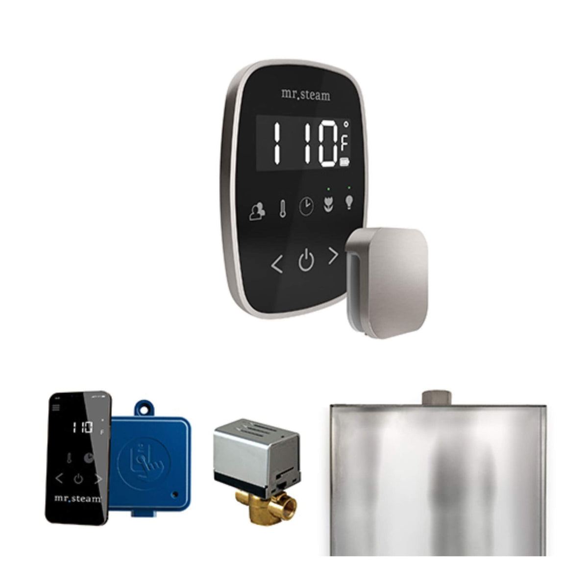 Mr.Steam ButlerFlex Steam Shower Control Package W/ TempoFlex Control (SAK38129)