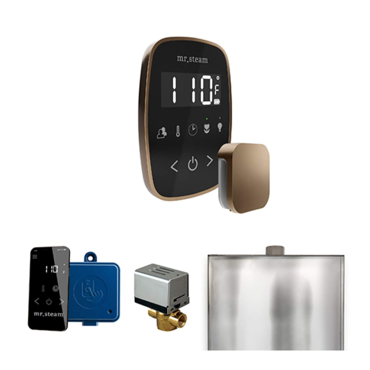 Mr.Steam ButlerFlex Steam Shower Control Package W/ TempoFlex Control (SAK38129)