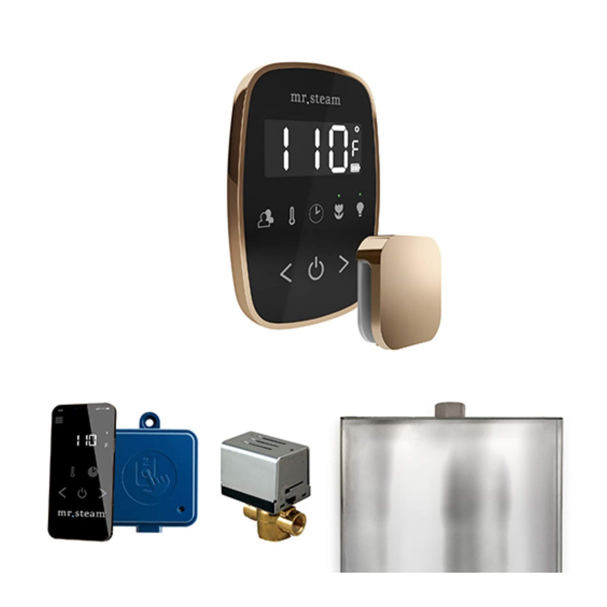 Mr.Steam ButlerFlex Steam Shower Control Package W/ TempoFlex Control (SAK38129)