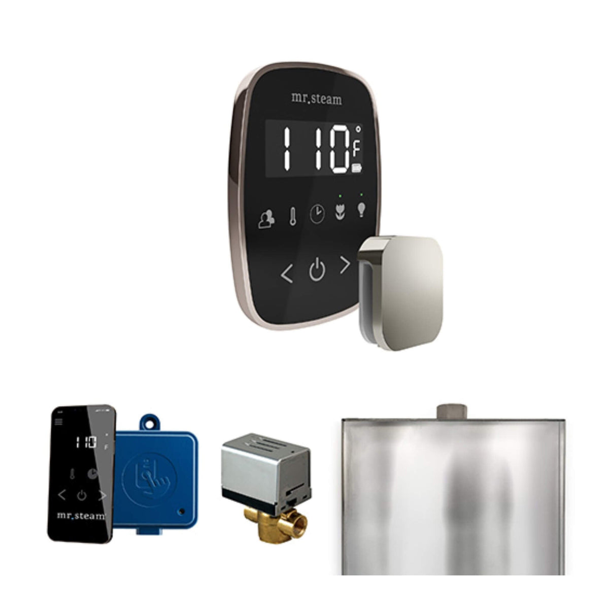 Mr.Steam ButlerFlex Steam Shower Control Package W/ TempoFlex Control (SAK38129)