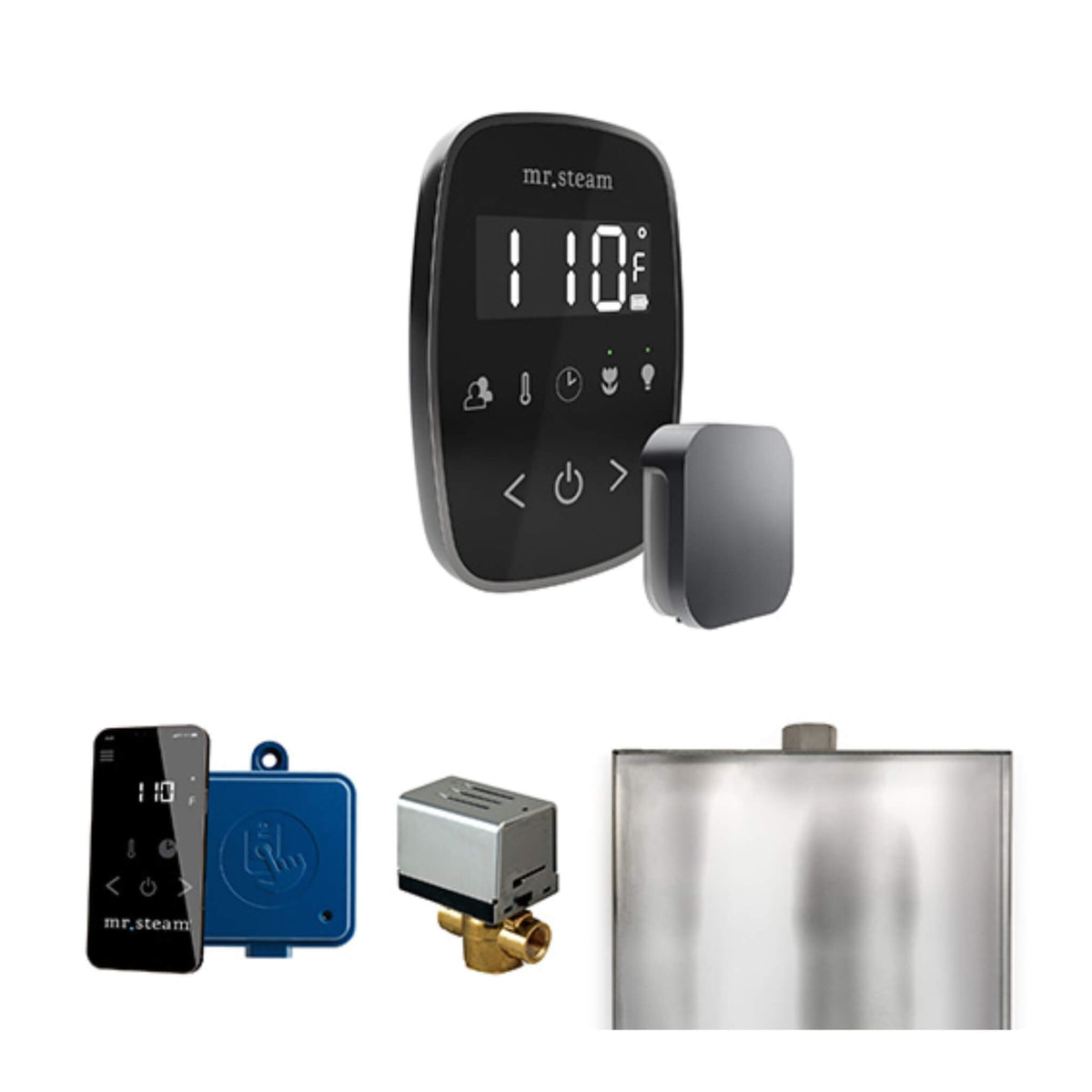 Mr.Steam ButlerFlex Steam Shower Control Package W/ TempoFlex Control (SAK38129)
