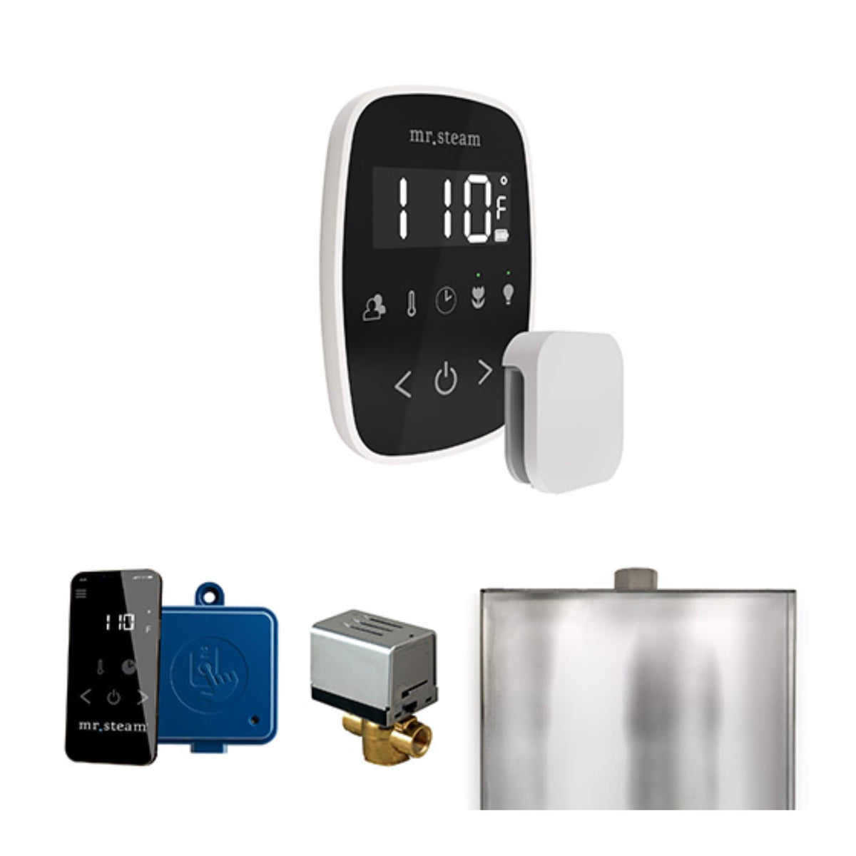 Mr.Steam ButlerFlex Steam Shower Control Package W/ TempoFlex Control (SAK38129)