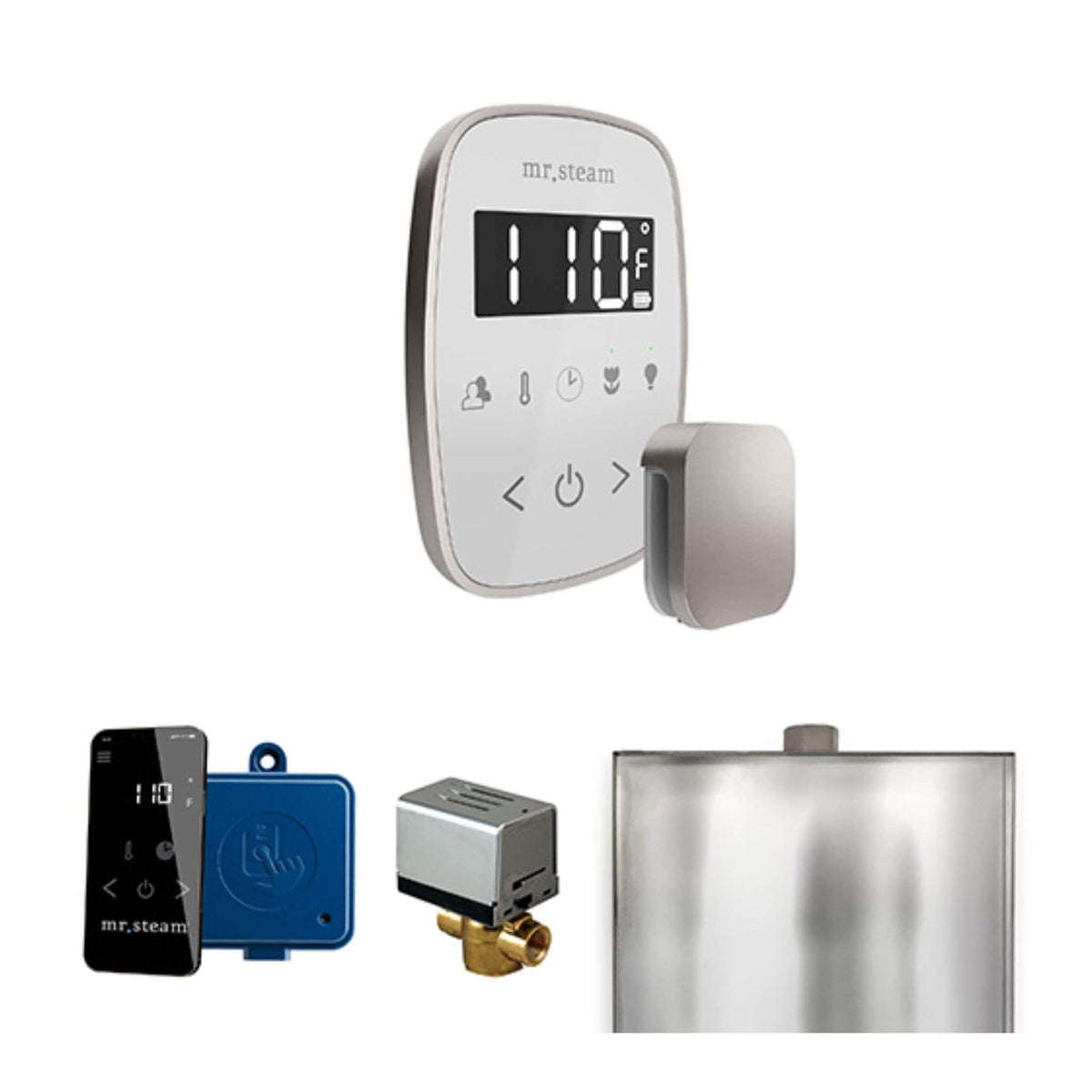 Mr.Steam ButlerFlex Steam Shower Control Package W/ TempoFlex Control (SAK38129)