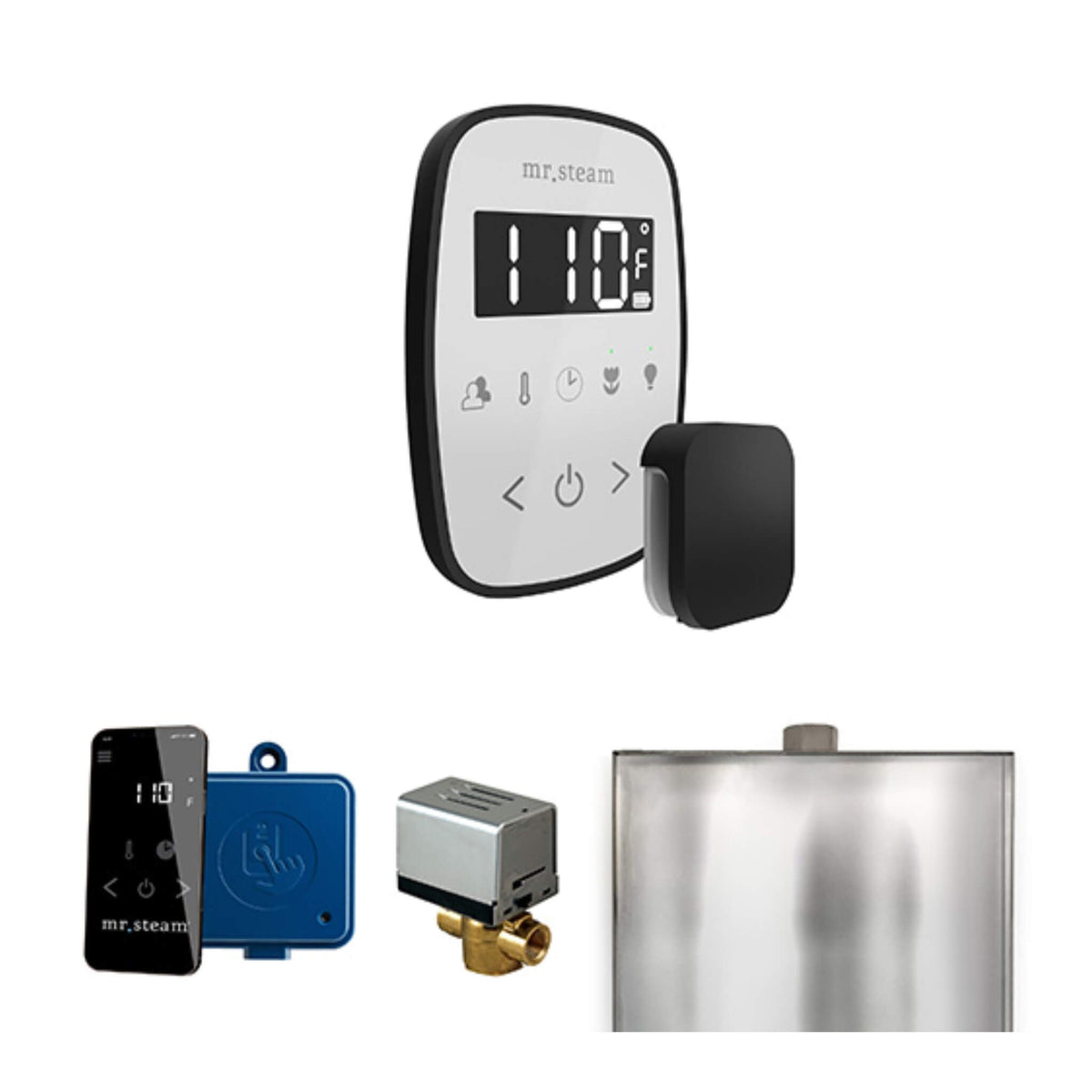 Mr.Steam ButlerFlex Steam Shower Control Package W/ TempoFlex Control (SAK38129)