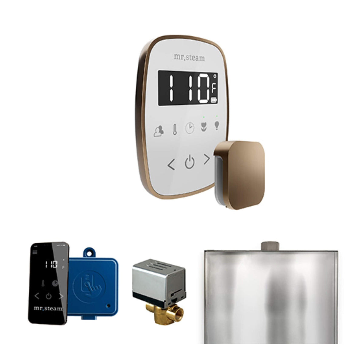 Mr.Steam ButlerFlex Steam Shower Control Package W/ TempoFlex Control (SAK38129)