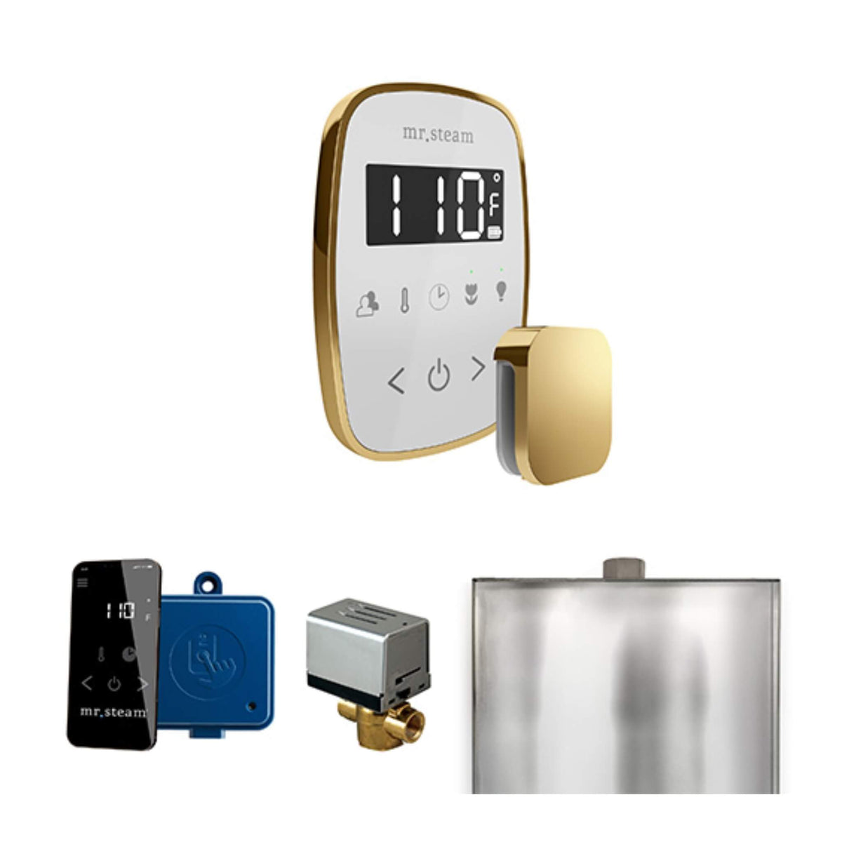 Mr.Steam ButlerFlex Steam Shower Control Package W/ TempoFlex Control (SAK38129)