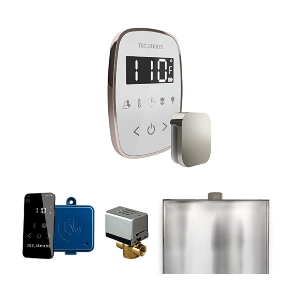 Mr.Steam ButlerFlex Steam Shower Control Package W/ TempoFlex Control (SAK38129)