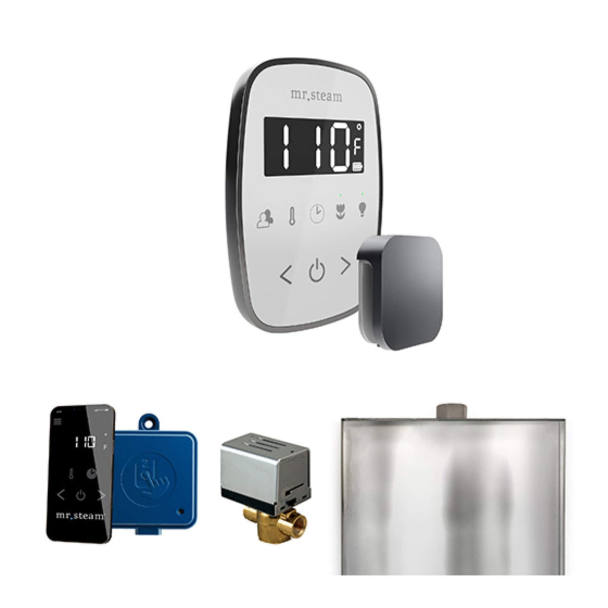Mr.Steam ButlerFlex Steam Shower Control Package W/ TempoFlex Control (SAK38129)
