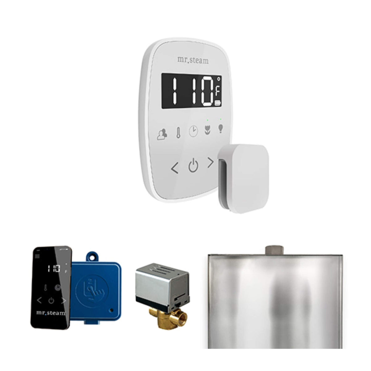 Mr.Steam ButlerFlex Steam Shower Control Package W/ TempoFlex Control (SAK38129)