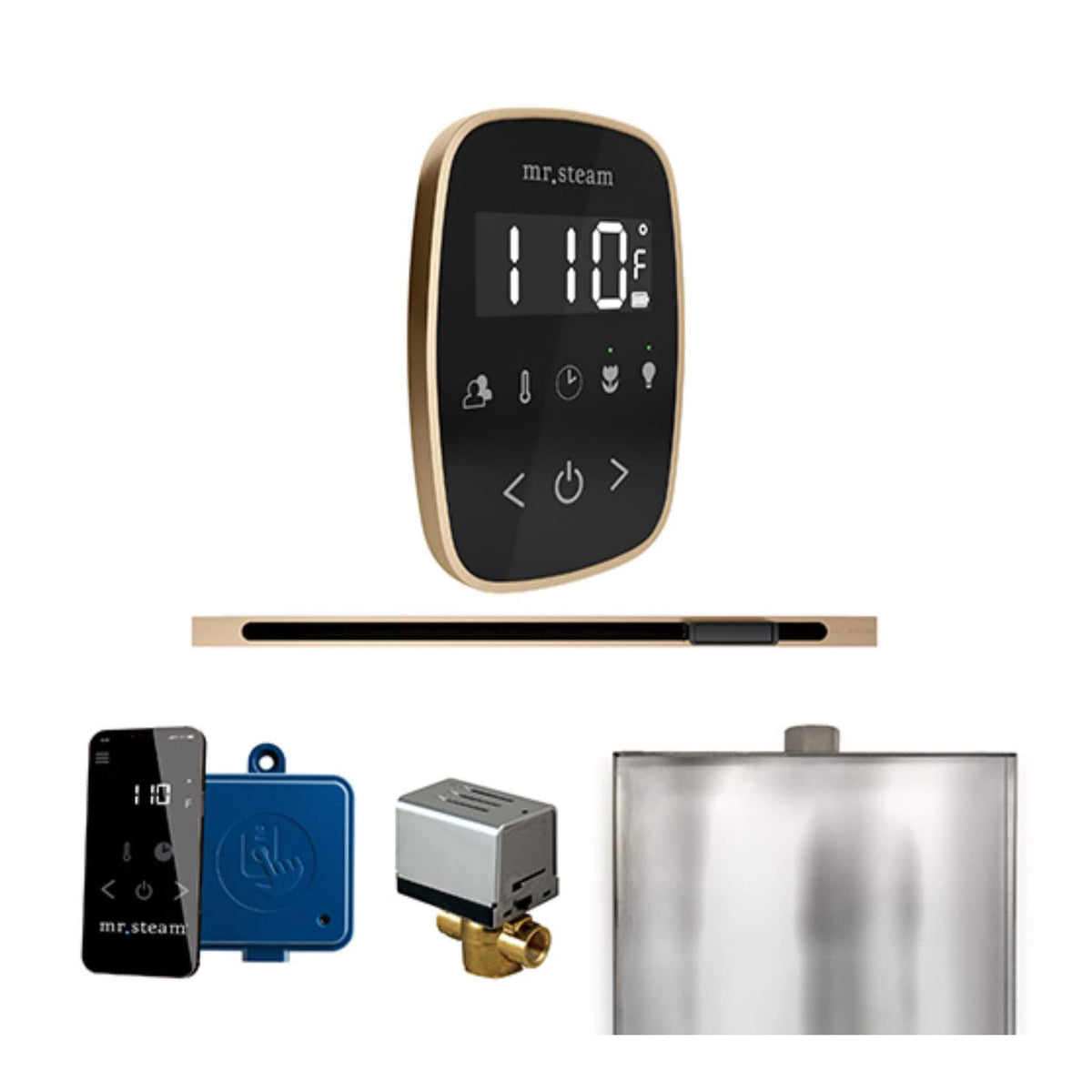 Mr.Steam ButlerFlex Steam Shower Control Package W/ TempoFlex Control & Linear SteamHead (SAK84713)