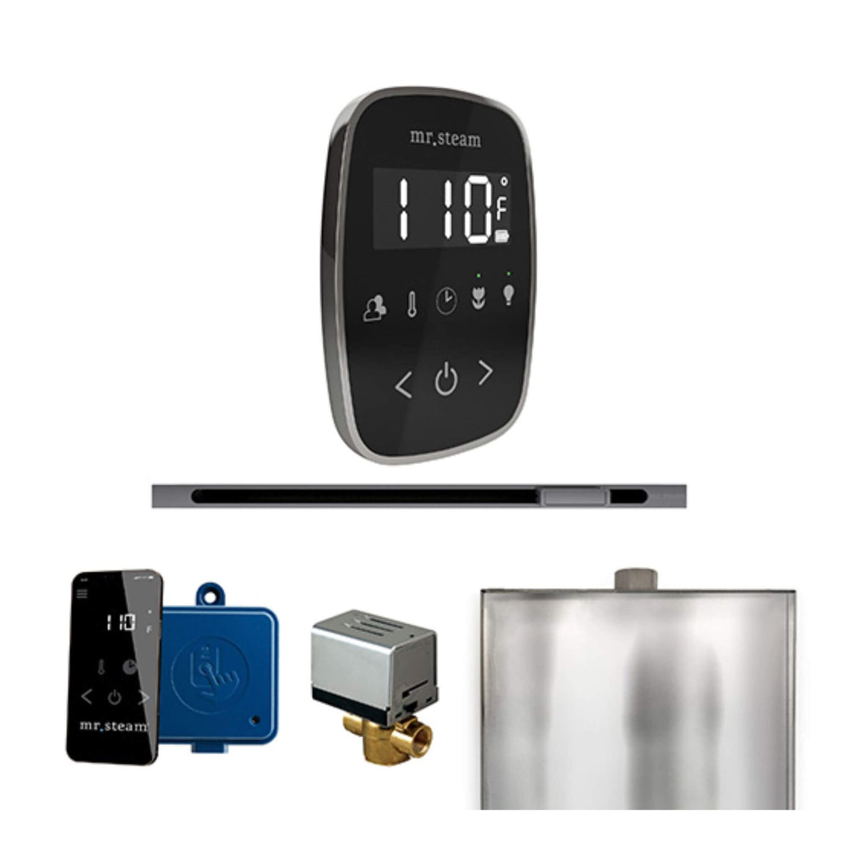 Mr.Steam ButlerFlex Steam Shower Control Package W/ TempoFlex Control & Linear SteamHead (SAK84713)
