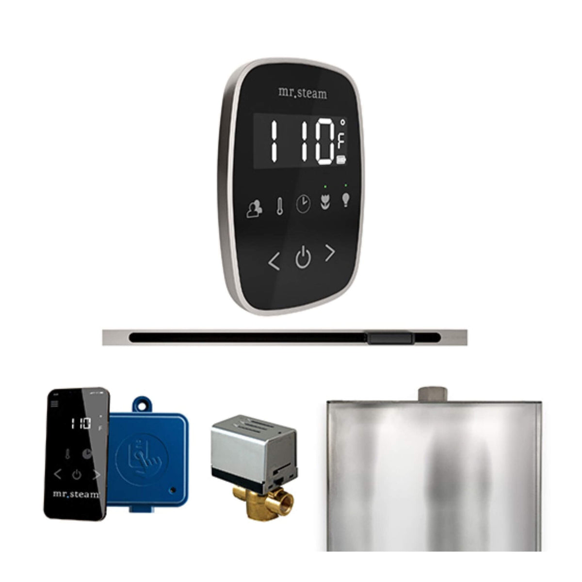 Mr.Steam ButlerFlex Steam Shower Control Package W/ TempoFlex Control & Linear SteamHead (SAK84713)