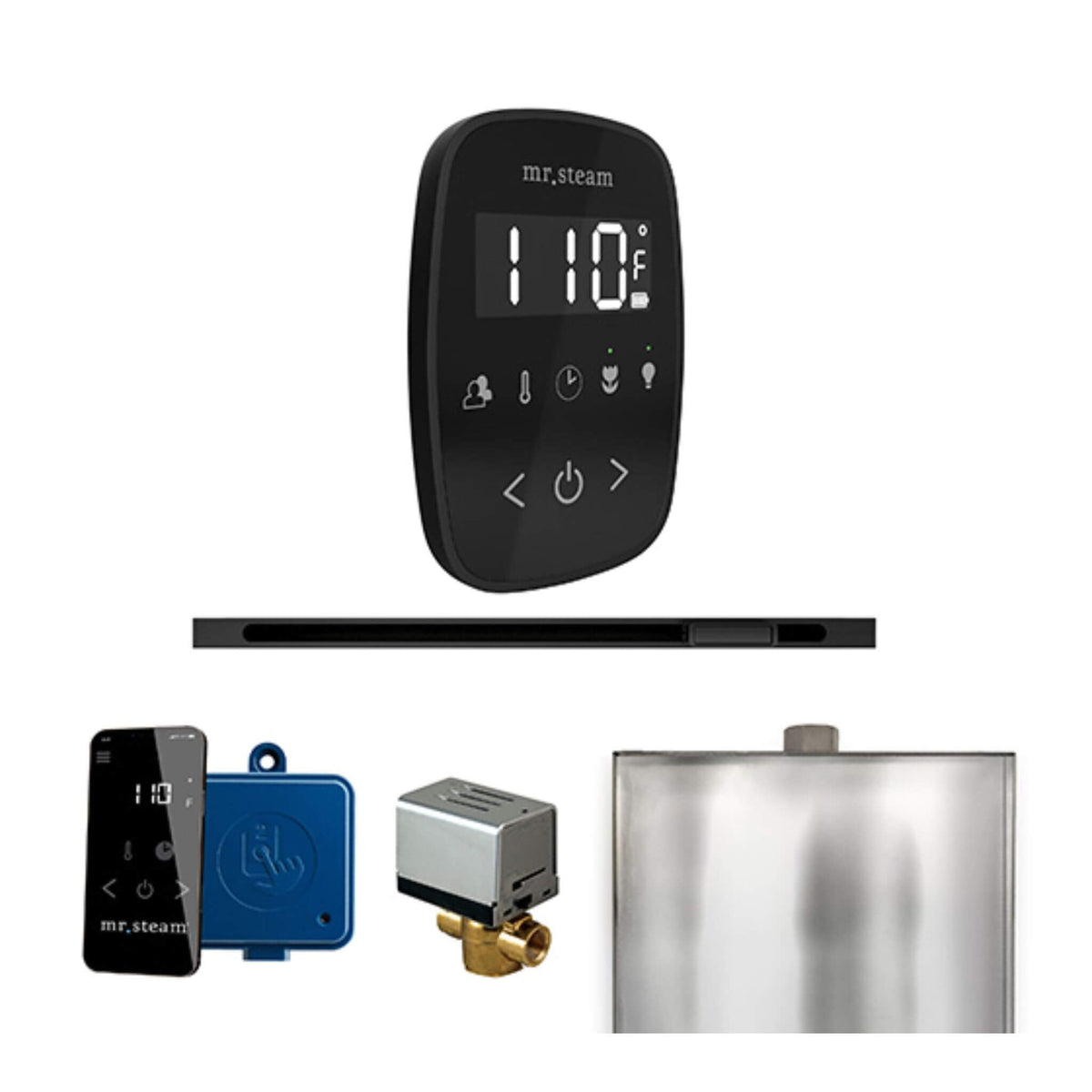 Mr.Steam ButlerFlex Steam Shower Control Package W/ TempoFlex Control & Linear SteamHead (SAK84713)