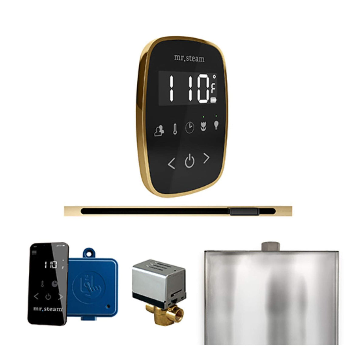 Mr.Steam ButlerFlex Steam Shower Control Package W/ TempoFlex Control & Linear SteamHead (SAK84713)