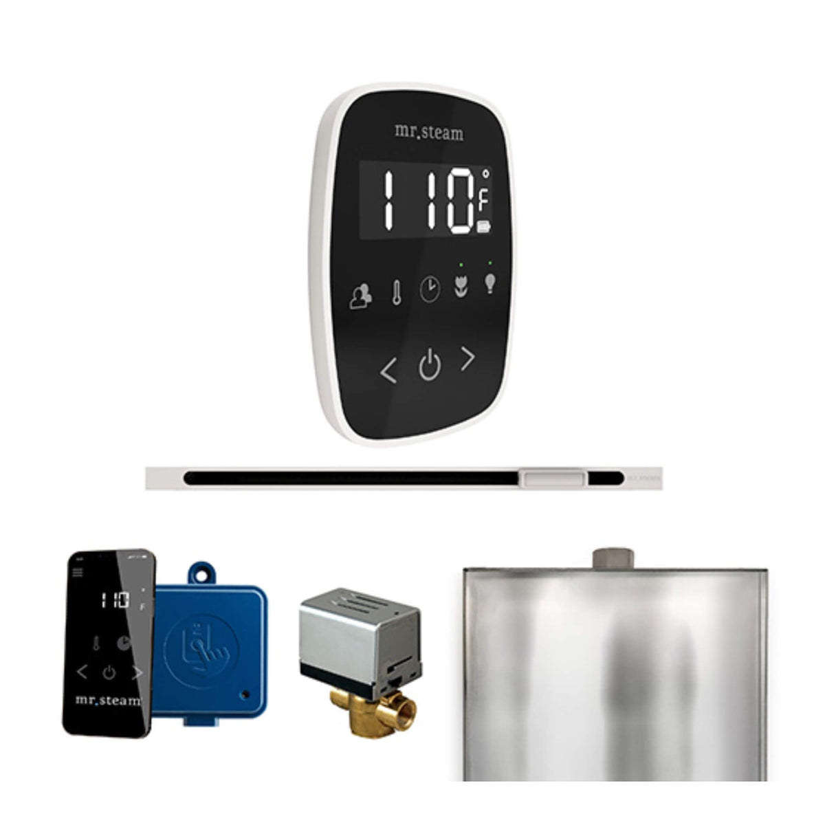 Mr.Steam ButlerFlex Steam Shower Control Package W/ TempoFlex Control & Linear SteamHead (SAK84713)