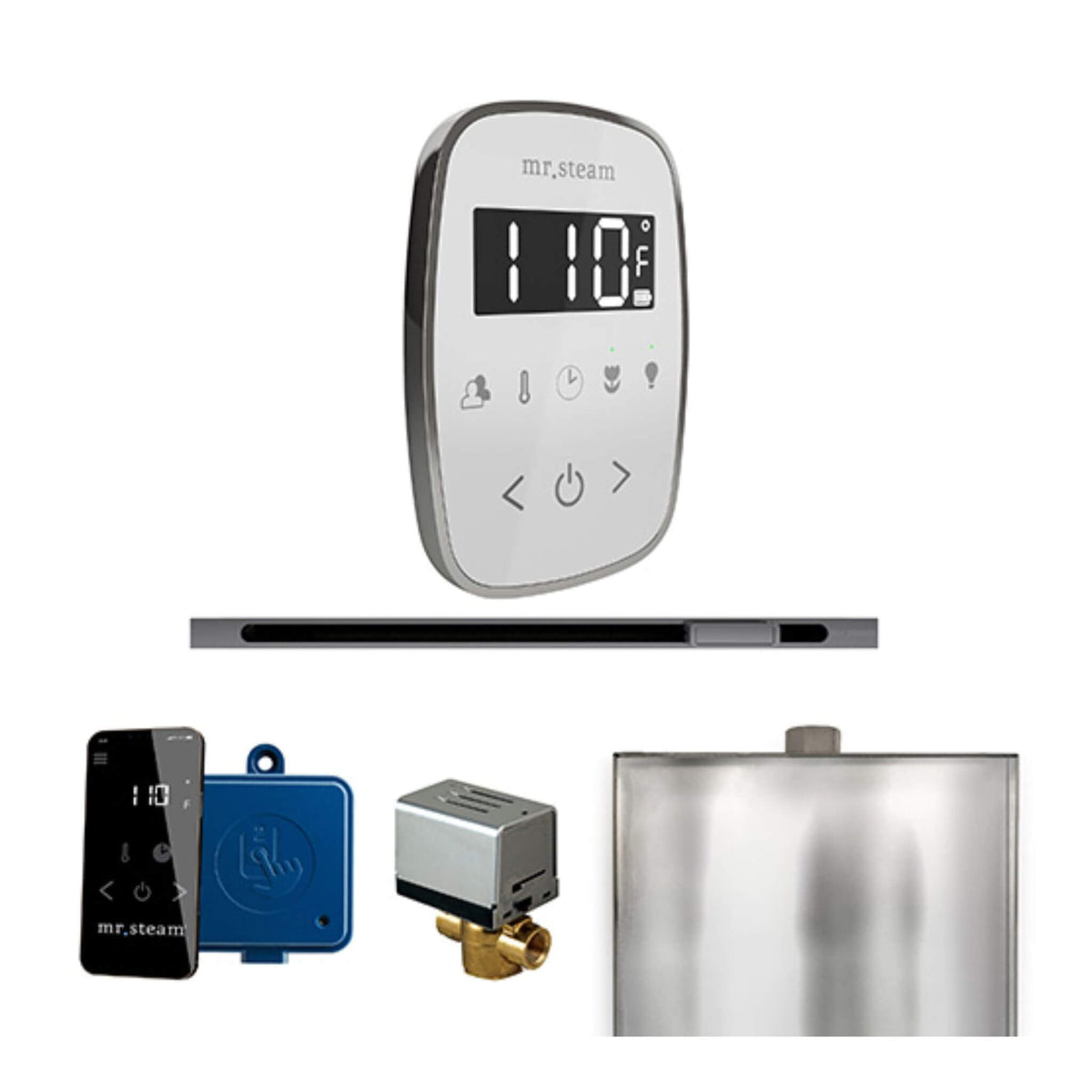 Mr.Steam ButlerFlex Steam Shower Control Package W/ TempoFlex Control & Linear SteamHead (SAK84713)