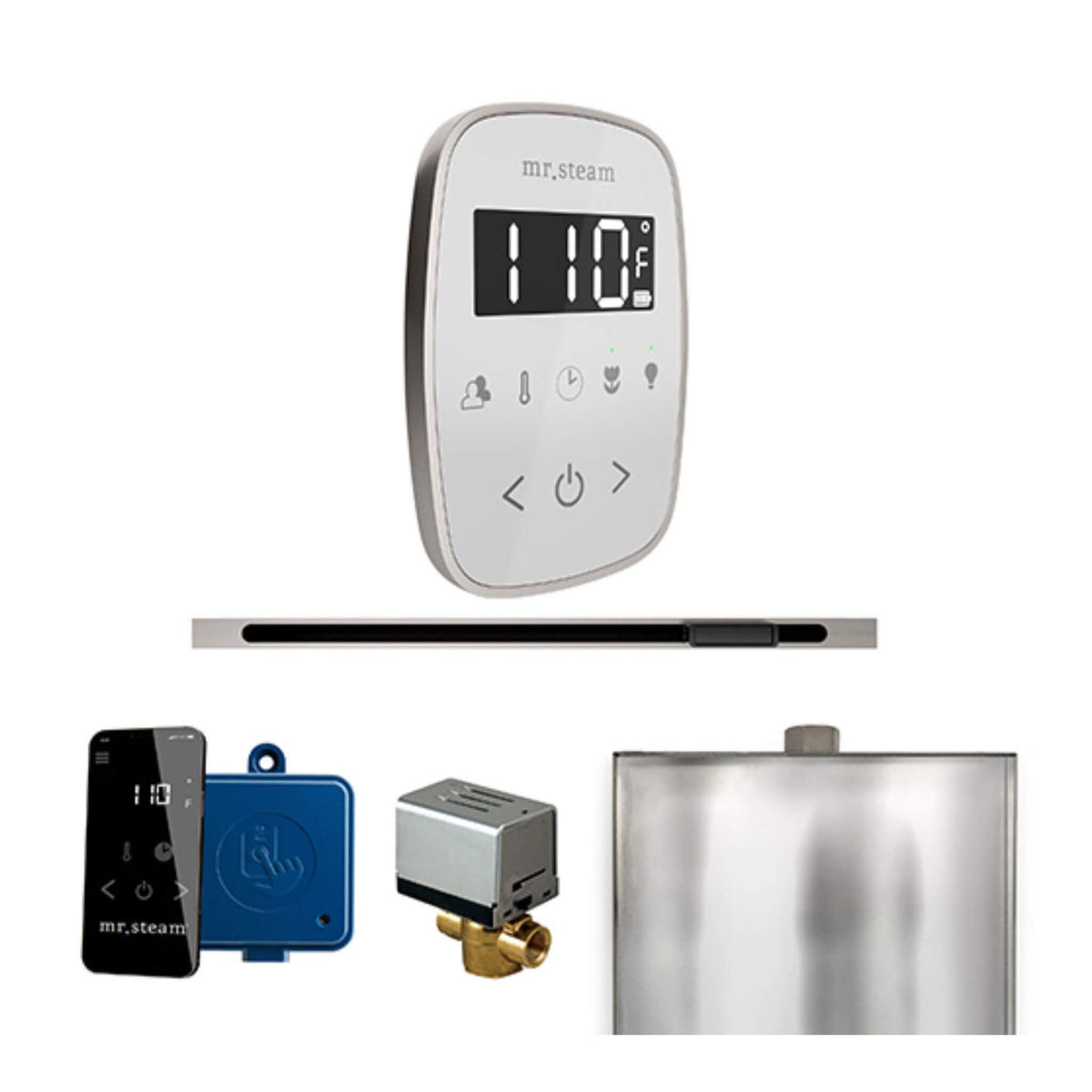 Mr.Steam ButlerFlex Steam Shower Control Package W/ TempoFlex Control & Linear SteamHead (SAK84713)