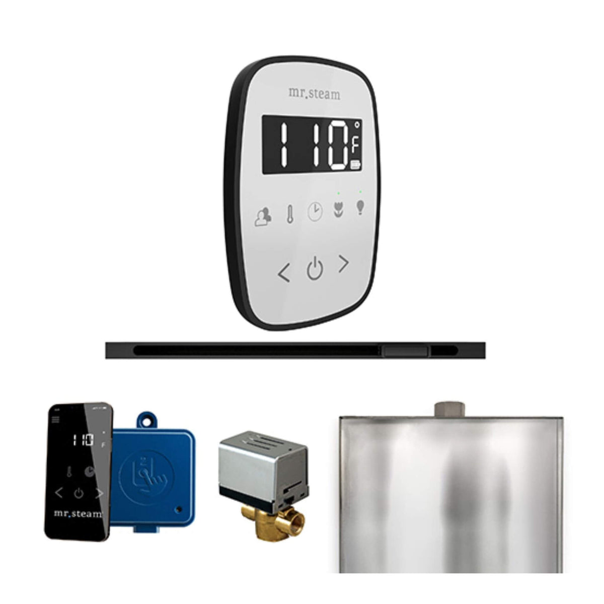 Mr.Steam ButlerFlex Steam Shower Control Package W/ TempoFlex Control & Linear SteamHead (SAK84713)