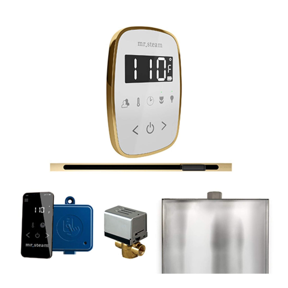 Mr.Steam ButlerFlex Steam Shower Control Package W/ TempoFlex Control & Linear SteamHead (SAK84713)
