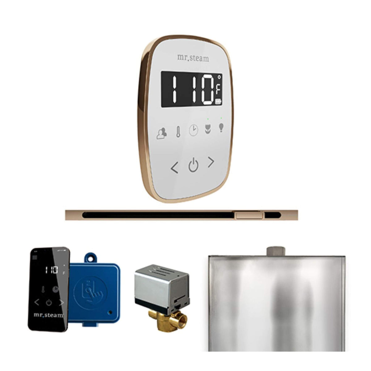 Mr.Steam ButlerFlex Steam Shower Control Package W/ TempoFlex Control & Linear SteamHead (SAK84713)