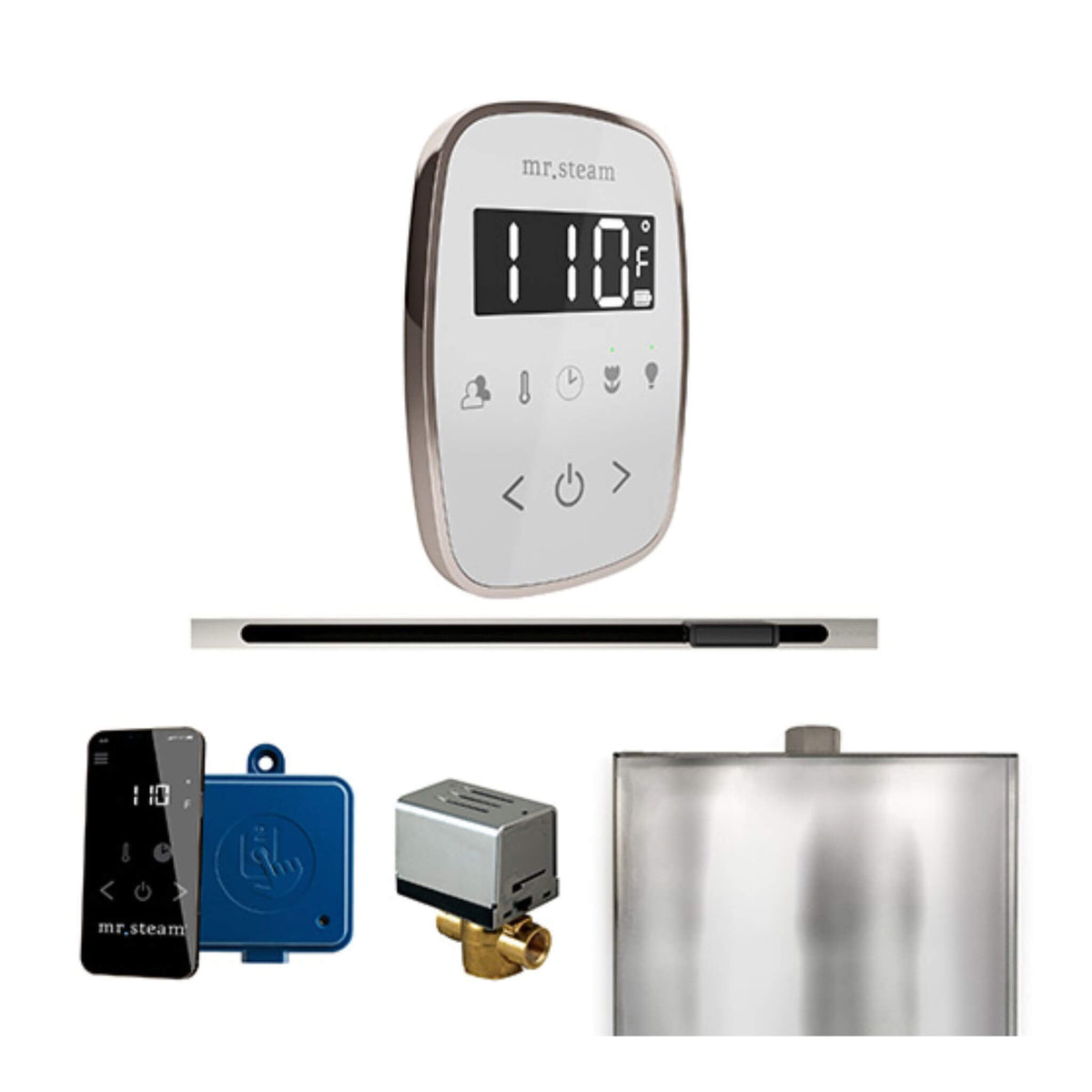 Mr.Steam ButlerFlex Steam Shower Control Package W/ TempoFlex Control & Linear SteamHead (SAK84713)