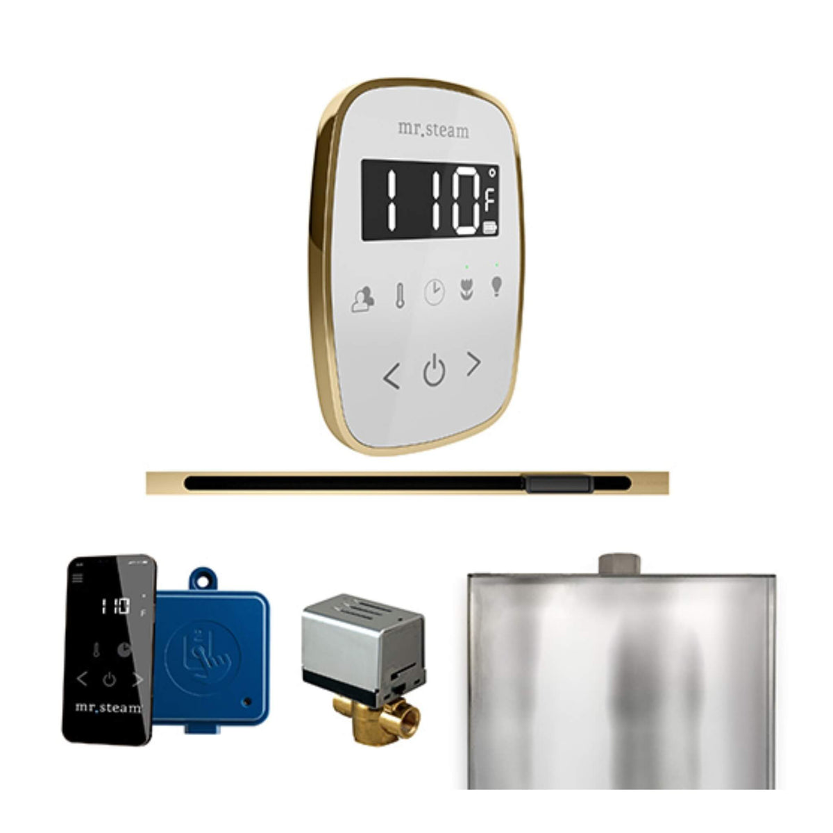 Mr.Steam ButlerFlex Steam Shower Control Package W/ TempoFlex Control & Linear SteamHead (SAK84713)
