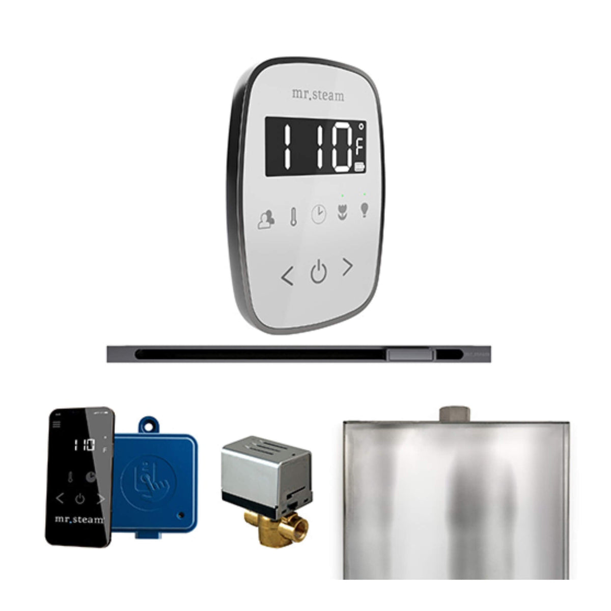 Mr.Steam ButlerFlex Steam Shower Control Package W/ TempoFlex Control & Linear SteamHead (SAK84713)