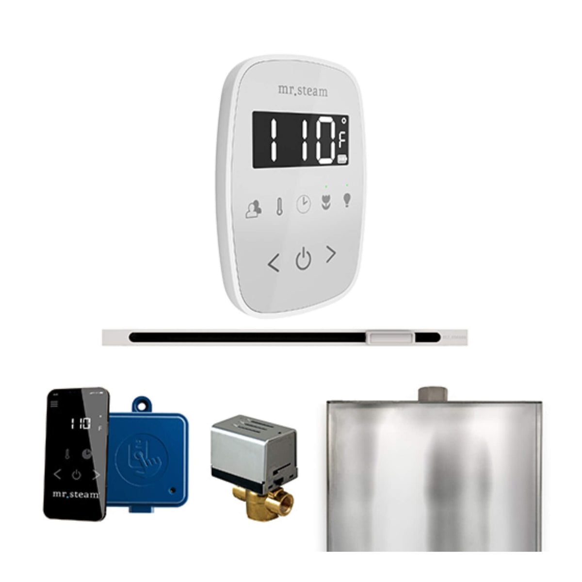 Mr.Steam ButlerFlex Steam Shower Control Package W/ TempoFlex Control & Linear SteamHead (SAK84713)