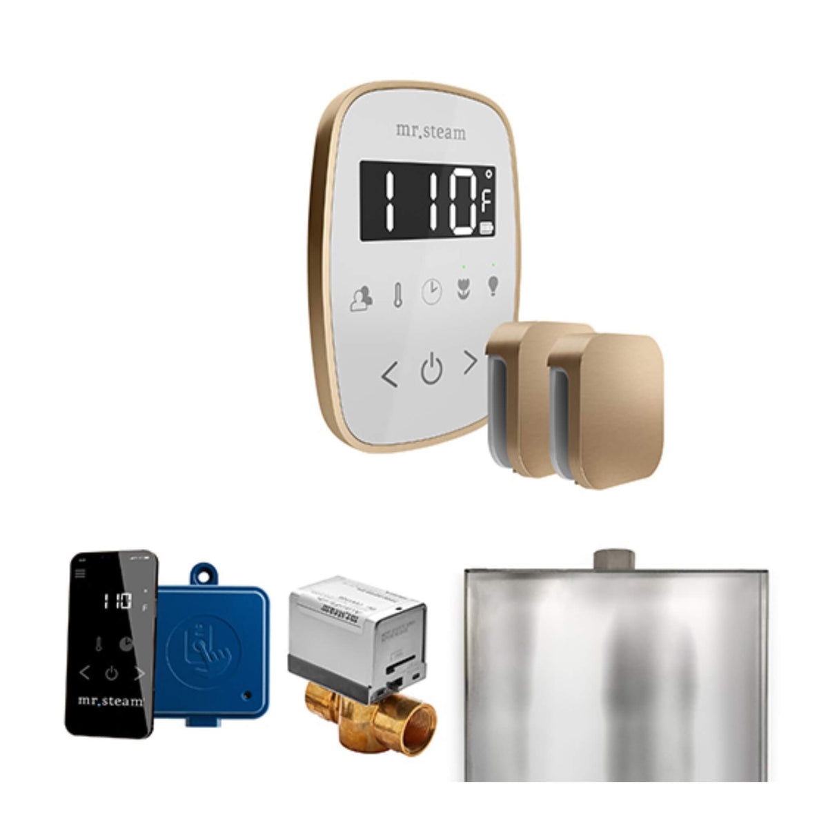 Mr.Steam ButlerFlex Steam Shower Control Package W/ TempoFlex Control & Aroma SteamHeads (SAK92375)