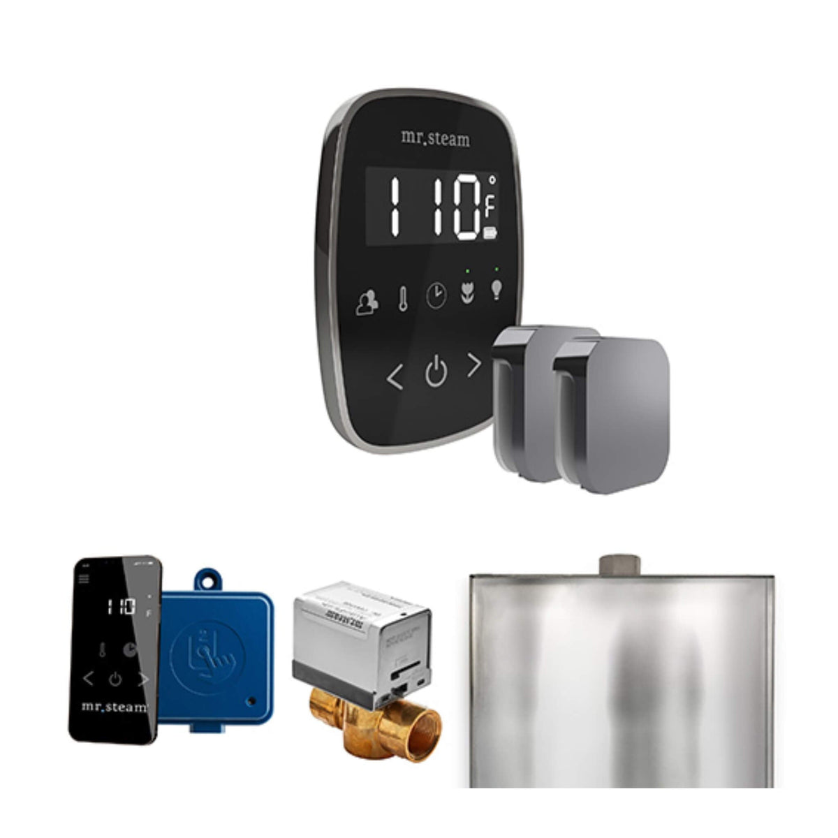 Mr.Steam ButlerFlex Steam Shower Control Package W/ TempoFlex Control & Aroma SteamHeads (SAK92375)