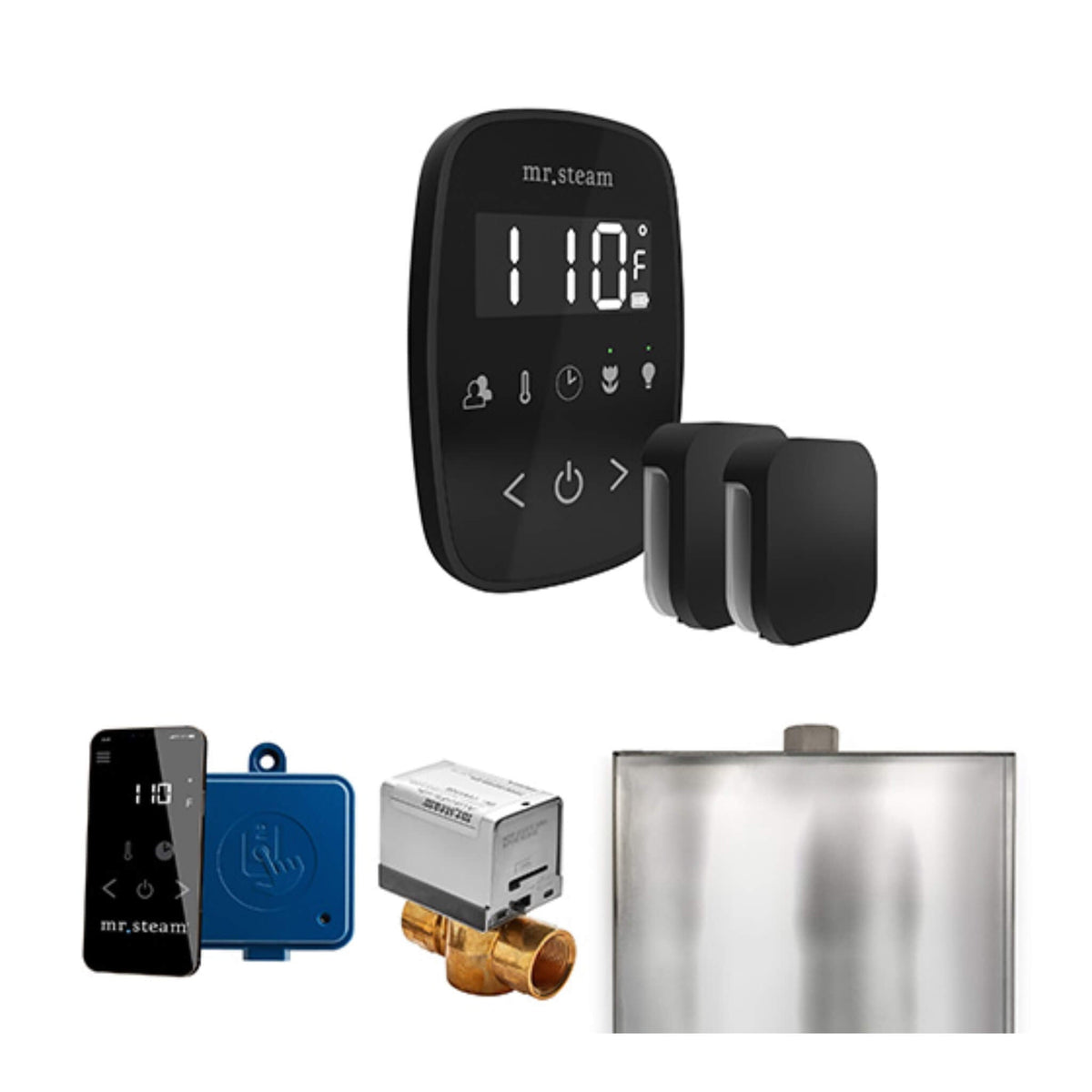 Mr.Steam ButlerFlex Steam Shower Control Package W/ TempoFlex Control & Aroma SteamHeads (SAK92375)