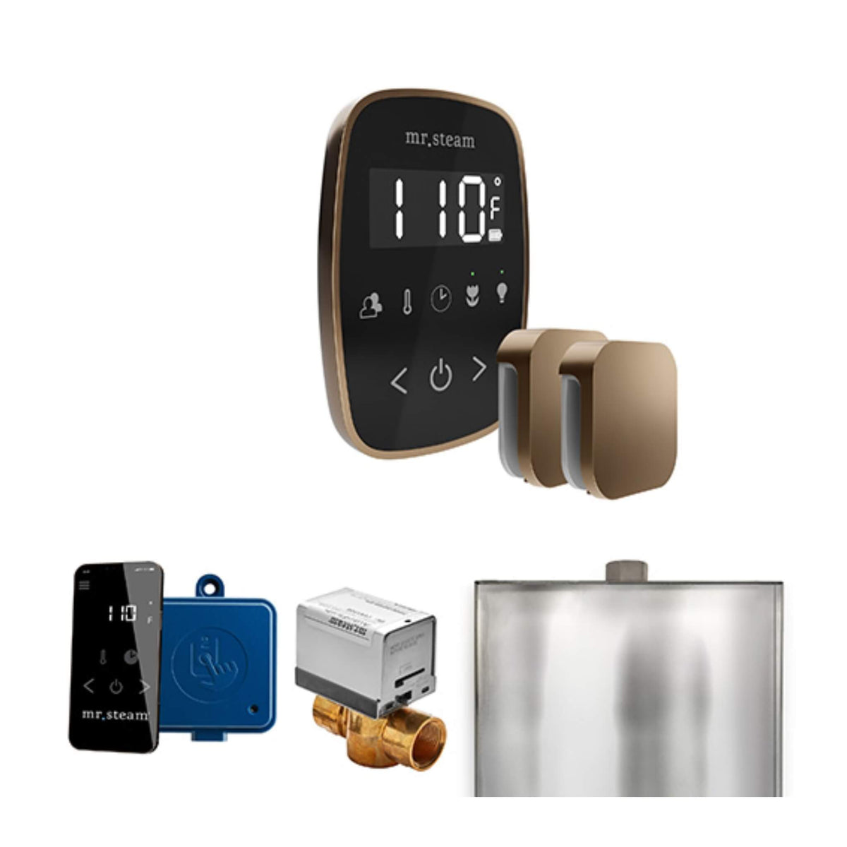Mr.Steam ButlerFlex Steam Shower Control Package W/ TempoFlex Control & Aroma SteamHeads (SAK92375)