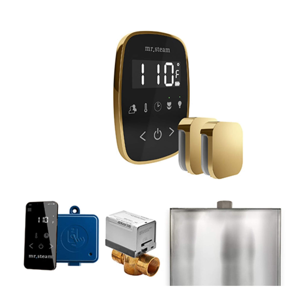Mr.Steam ButlerFlex Steam Shower Control Package W/ TempoFlex Control & Aroma SteamHeads (SAK92375)
