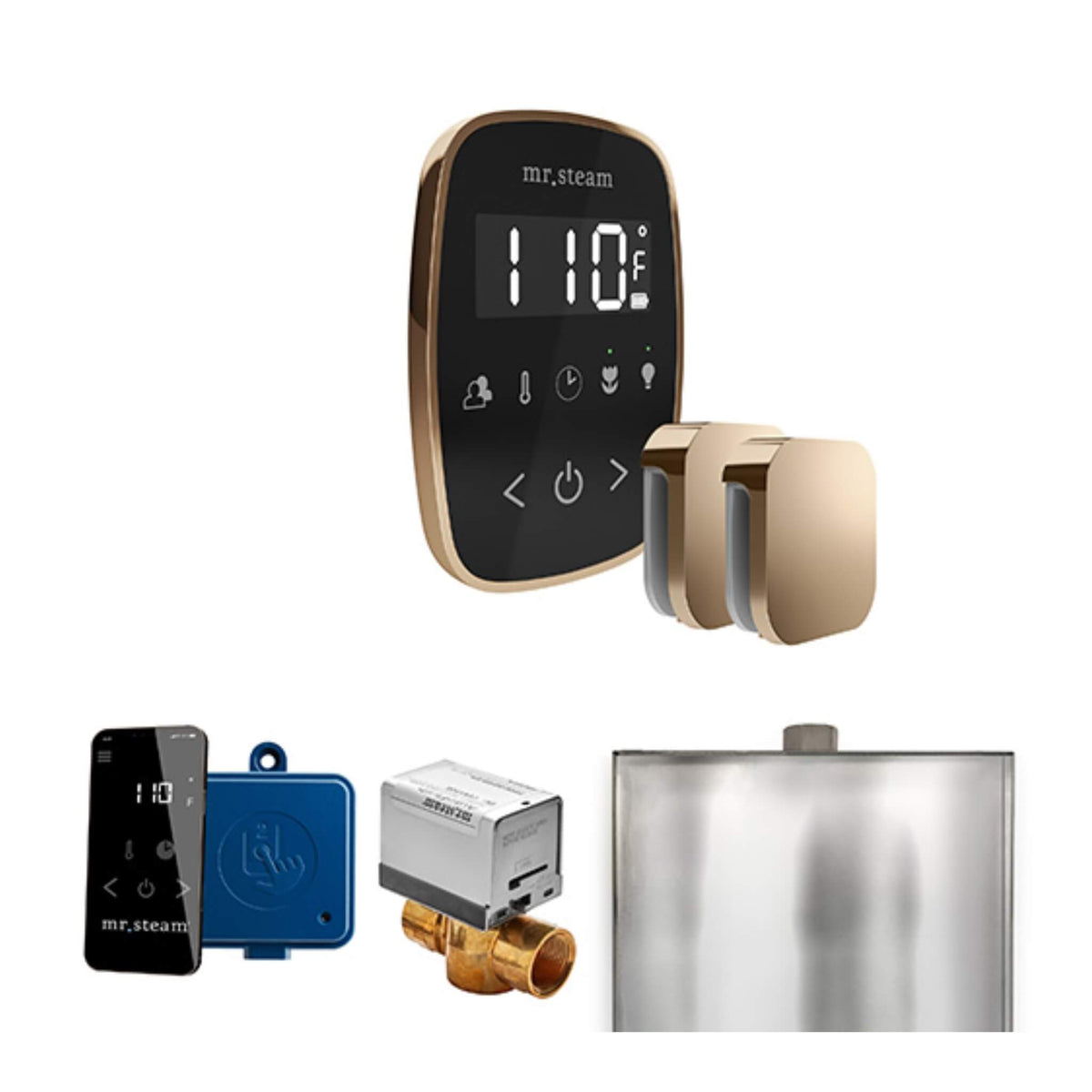 Mr.Steam ButlerFlex Steam Shower Control Package W/ TempoFlex Control & Aroma SteamHeads (SAK92375)