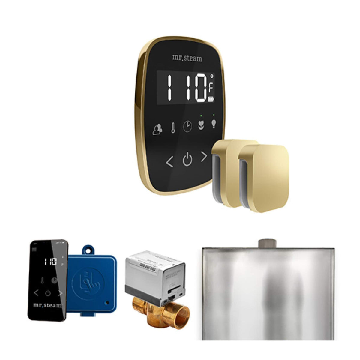 Mr.Steam ButlerFlex Steam Shower Control Package W/ TempoFlex Control & Aroma SteamHeads (SAK92375)