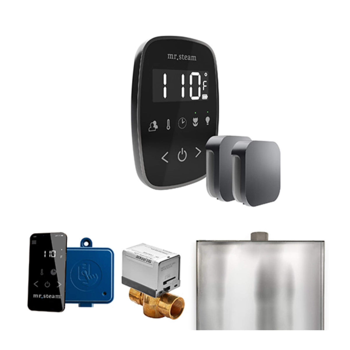 Mr.Steam ButlerFlex Steam Shower Control Package W/ TempoFlex Control & Aroma SteamHeads (SAK92375)
