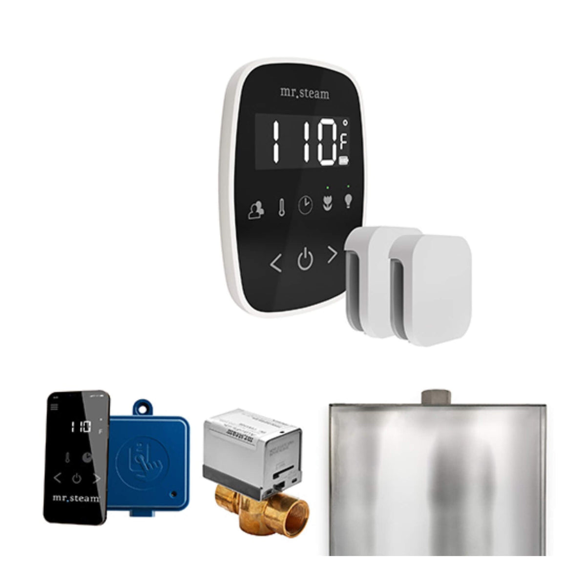 Mr.Steam ButlerFlex Steam Shower Control Package W/ TempoFlex Control & Aroma SteamHeads (SAK92375)