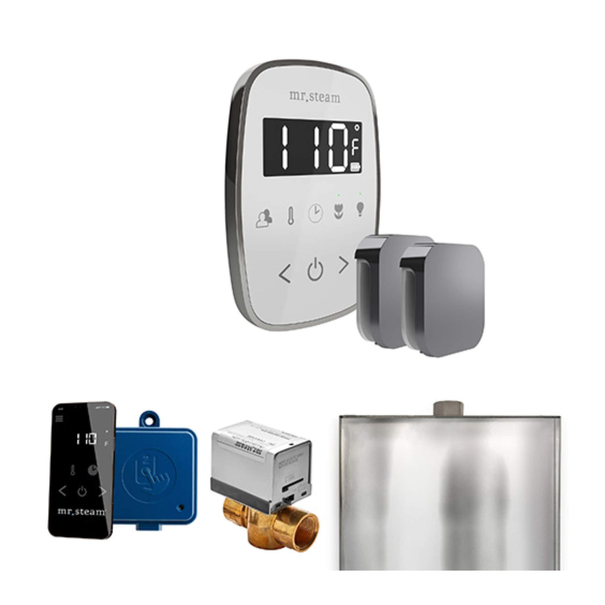 Mr.Steam ButlerFlex Steam Shower Control Package W/ TempoFlex Control & Aroma SteamHeads (SAK92375)