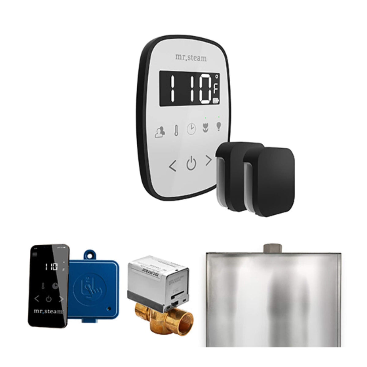 Mr.Steam ButlerFlex Steam Shower Control Package W/ TempoFlex Control & Aroma SteamHeads (SAK92375)