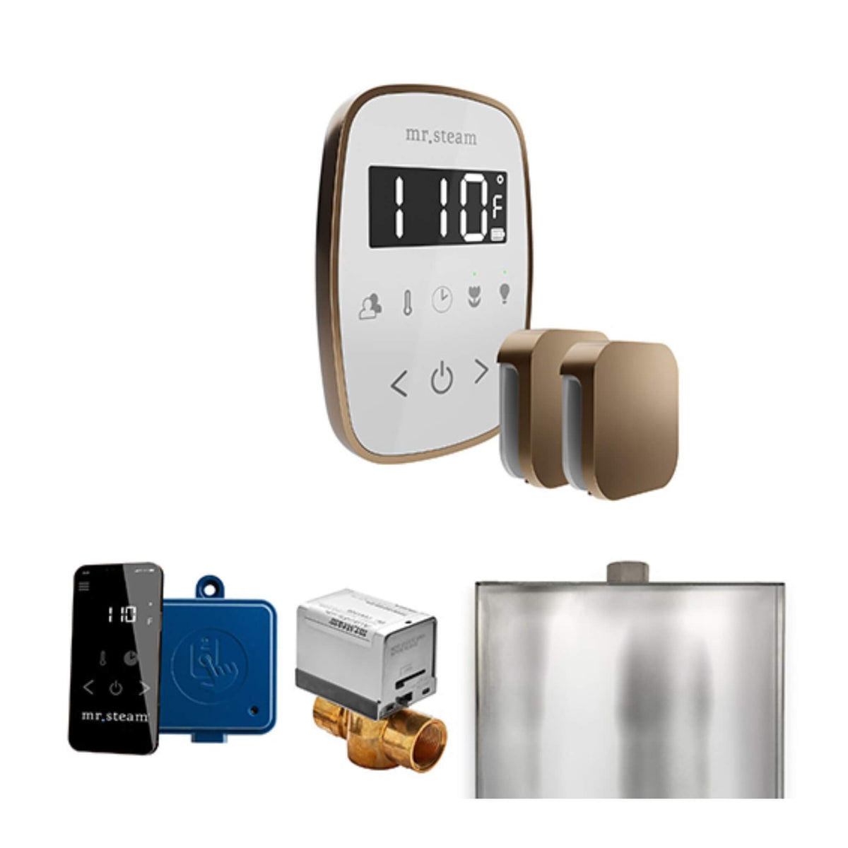 Mr.Steam ButlerFlex Steam Shower Control Package W/ TempoFlex Control & Aroma SteamHeads (SAK92375)