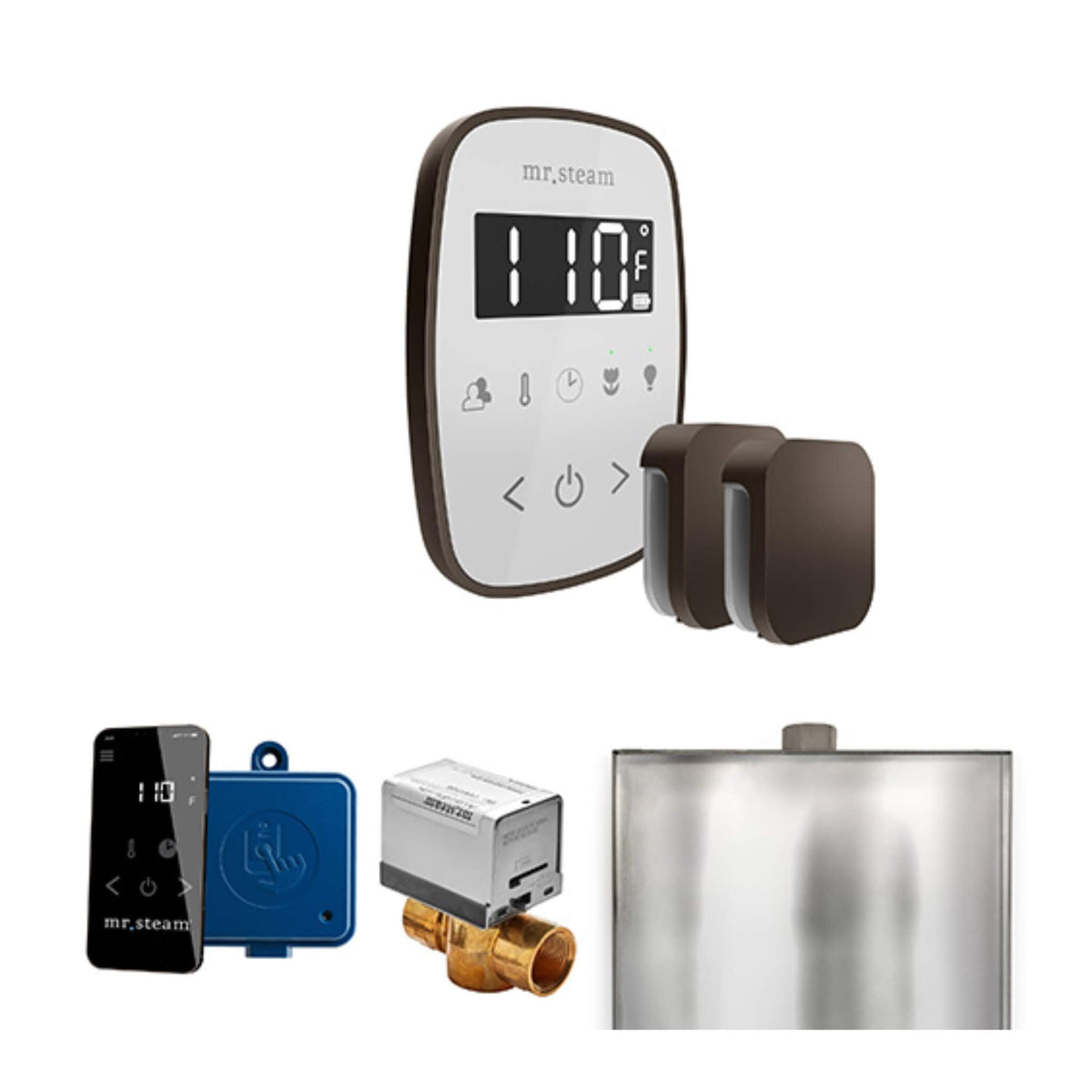 Mr.Steam ButlerFlex Steam Shower Control Package W/ TempoFlex Control & Aroma SteamHeads (SAK92375)