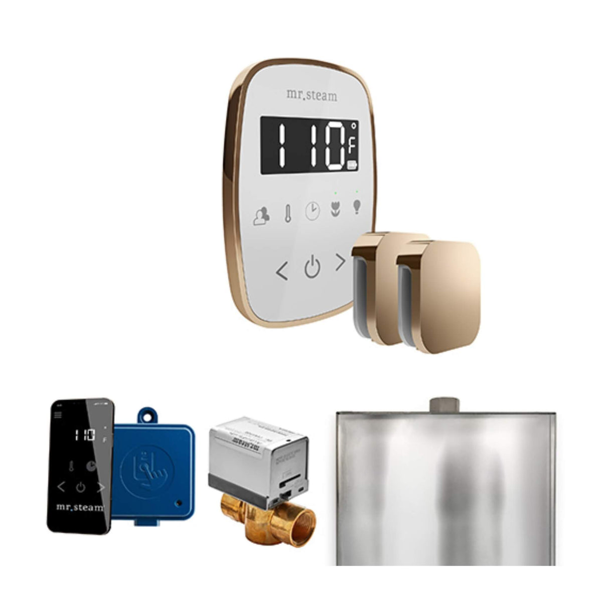 Mr.Steam ButlerFlex Steam Shower Control Package W/ TempoFlex Control & Aroma SteamHeads (SAK92375)