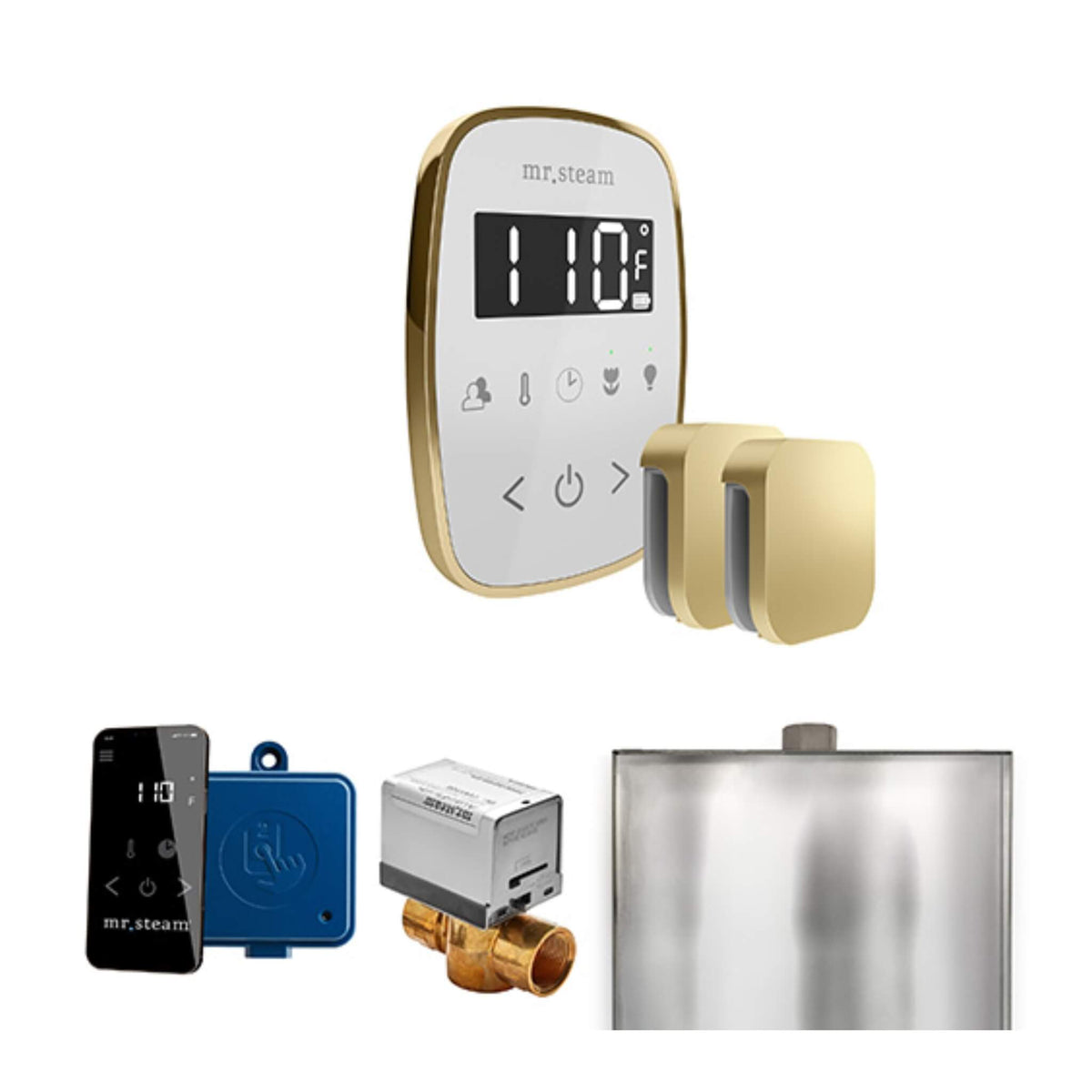 Mr.Steam ButlerFlex Steam Shower Control Package W/ TempoFlex Control & Aroma SteamHeads (SAK92375)